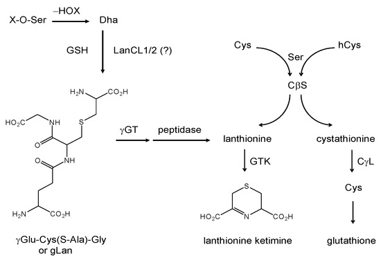Molecules 15 05581 g007 550