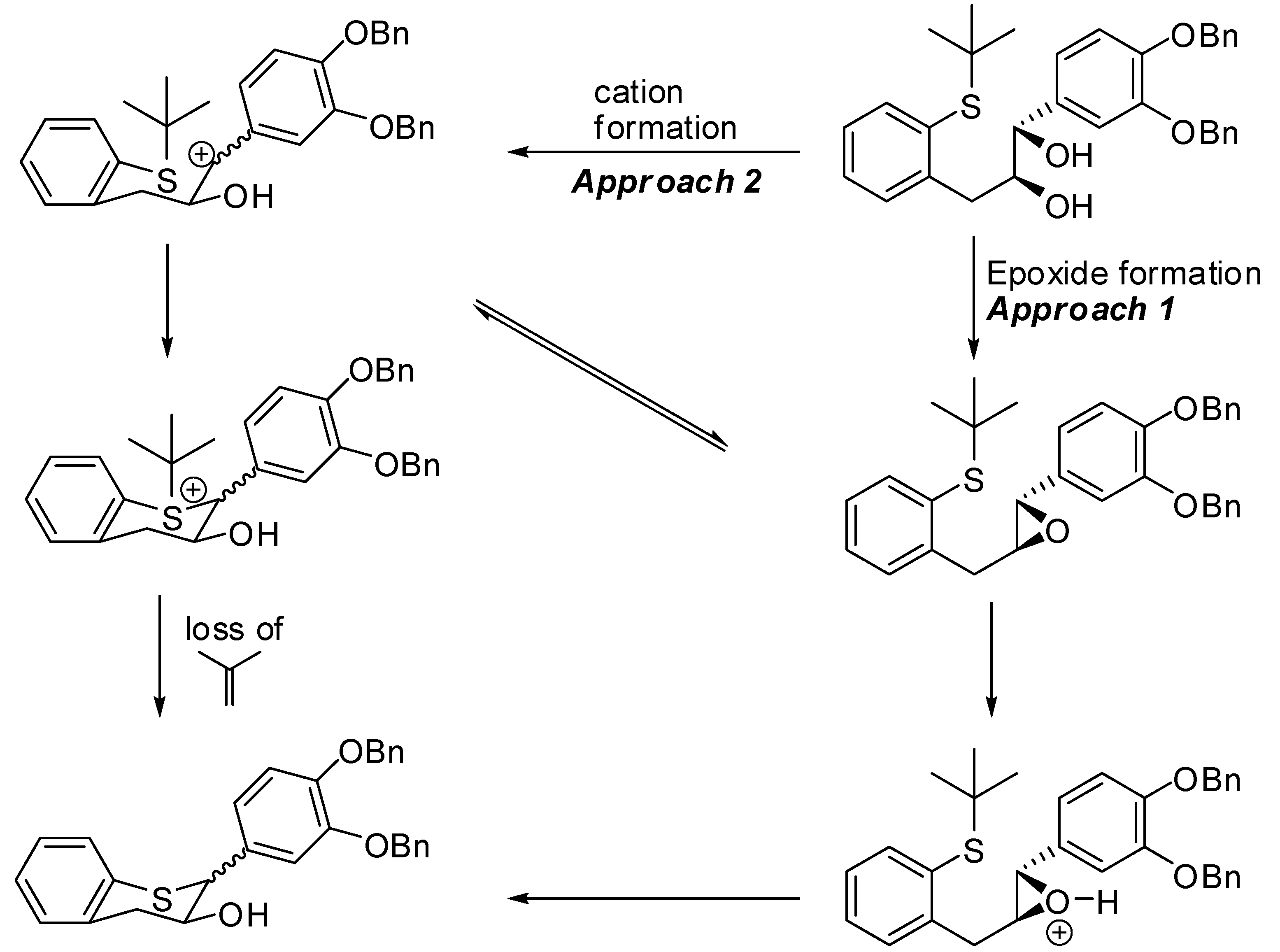 Molecules 15 05595 g006