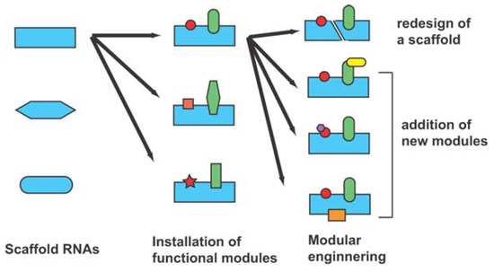 Molecules 15 05850 g002 550