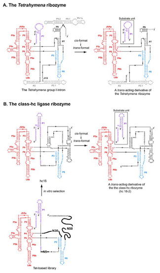 Molecules 15 05850 g003 550