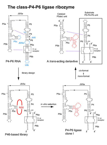 Molecules 15 05850 g004 550