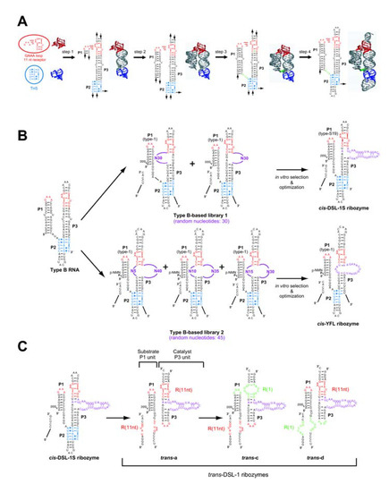 Molecules 15 05850 g005 550