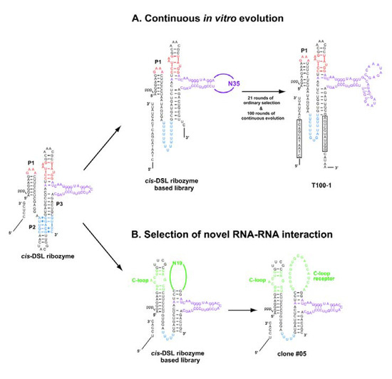 Molecules 15 05850 g006 550