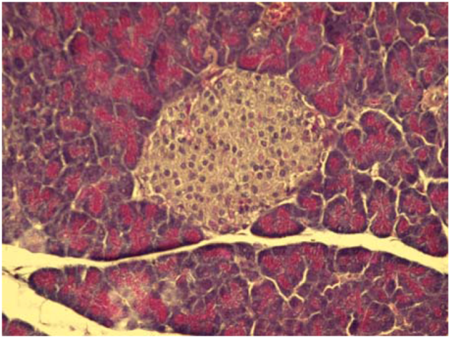 Molecules 15 06035 g002