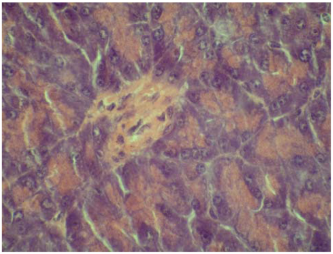 Molecules 15 06035 g003