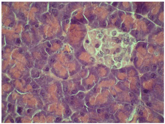 Molecules 15 06035 g004 550
