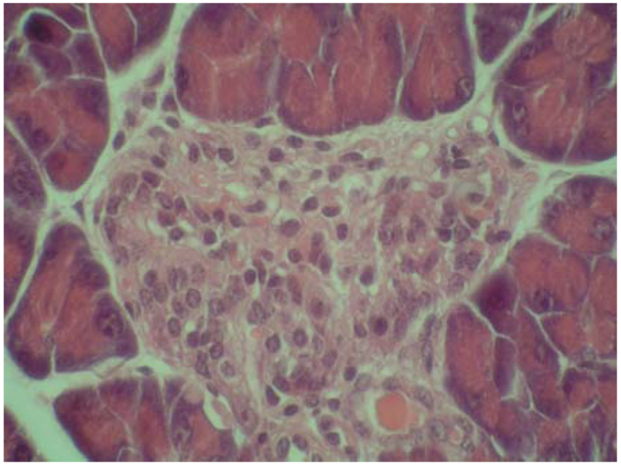 Molecules 15 06035 g005