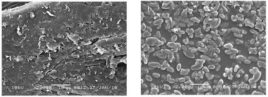 Molecules 15 06257 g006 550