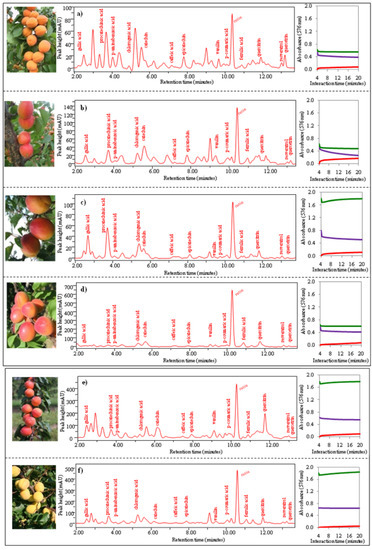 Molecules 15 06285 g005 550