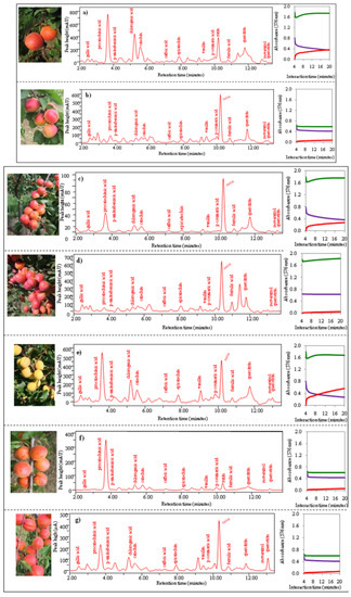 Molecules 15 06285 g006 550