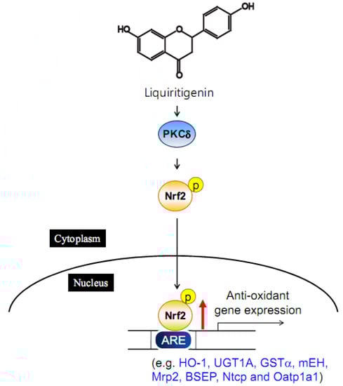 Molecules 15 06332 g002 550