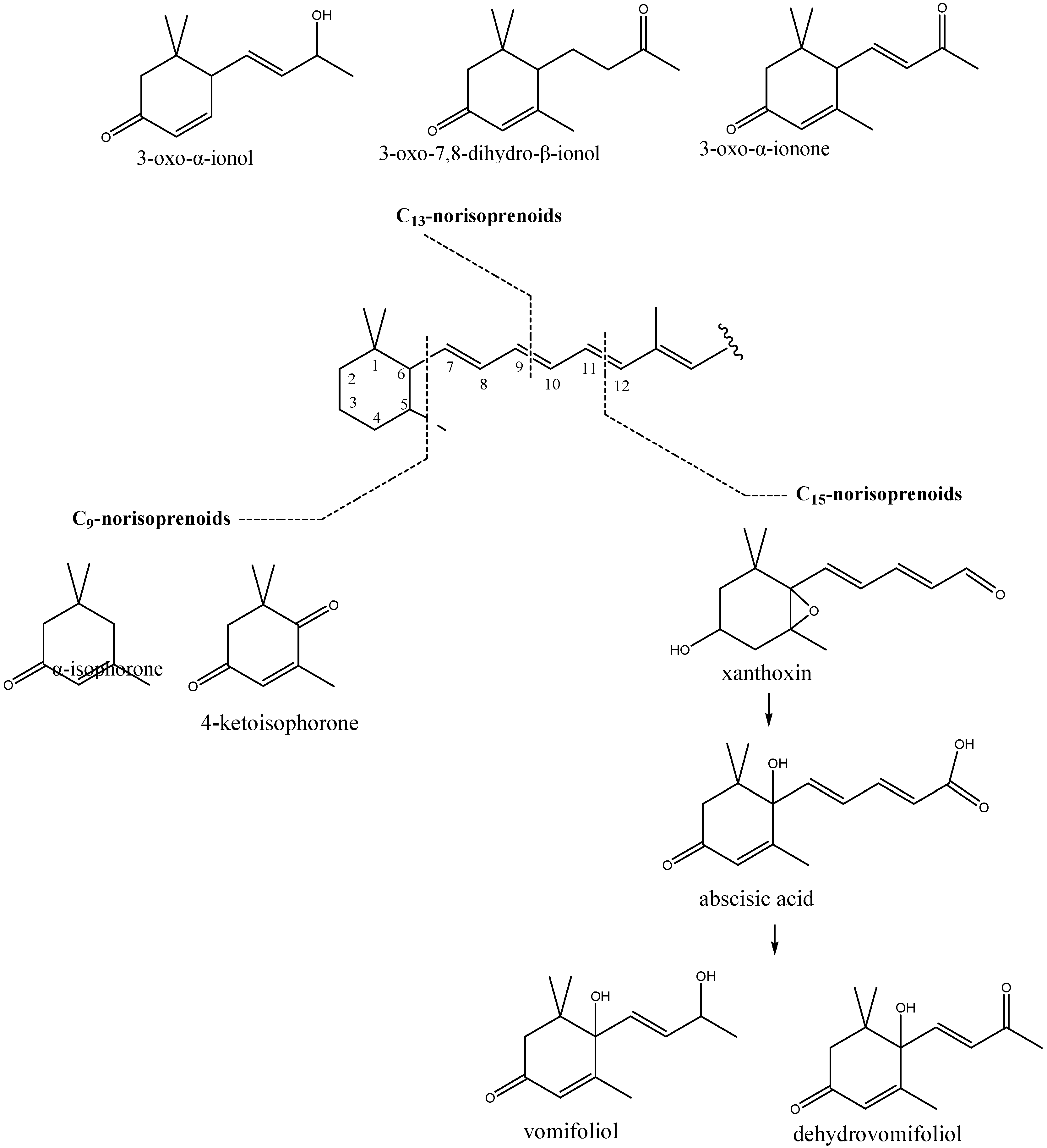 Molecules 15 06375 g002