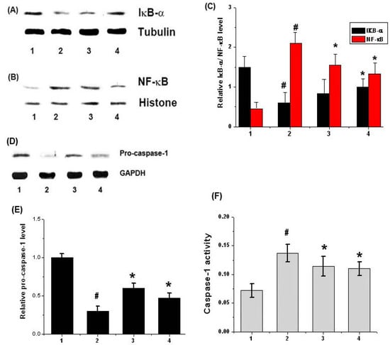 Molecules 15 06436 g005 550