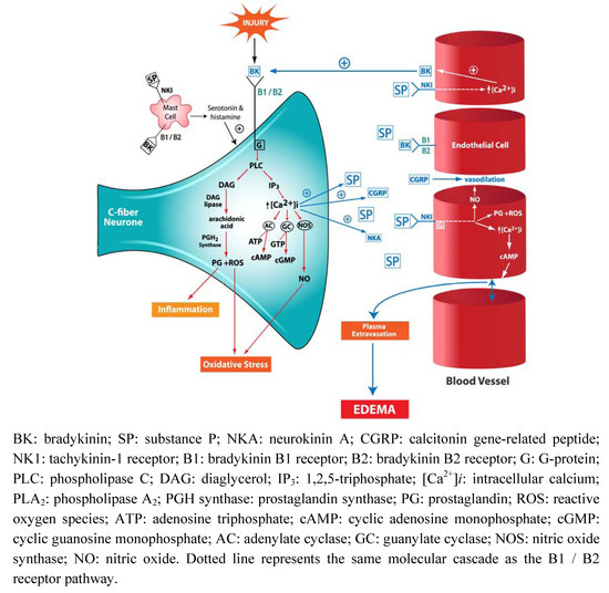 Molecules 15 06598 g001 550