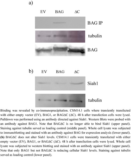 Molecules 15 06678 g001 550