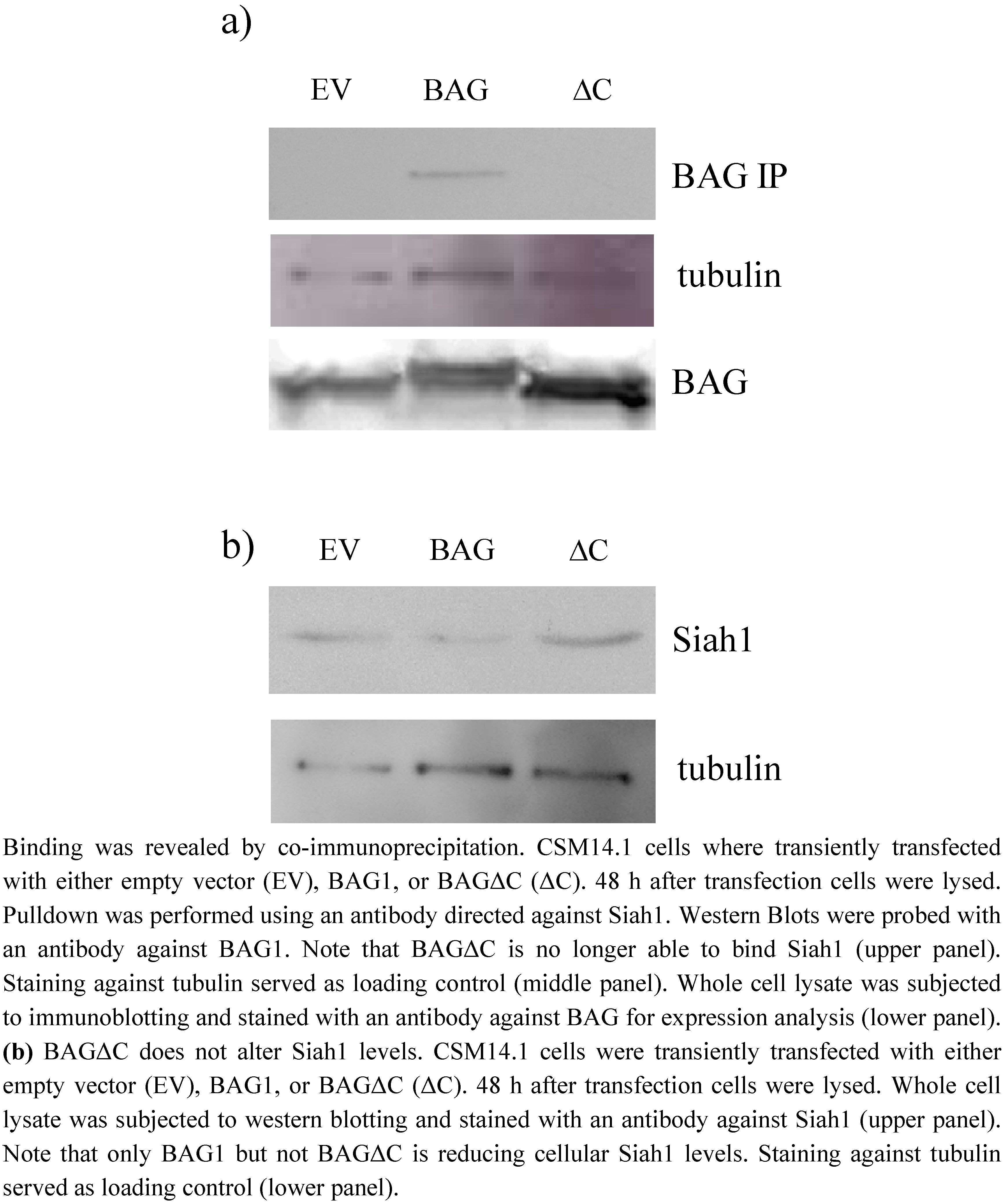 Molecules 15 06678 g001