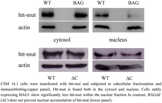 Molecules 15 06678 g004 550