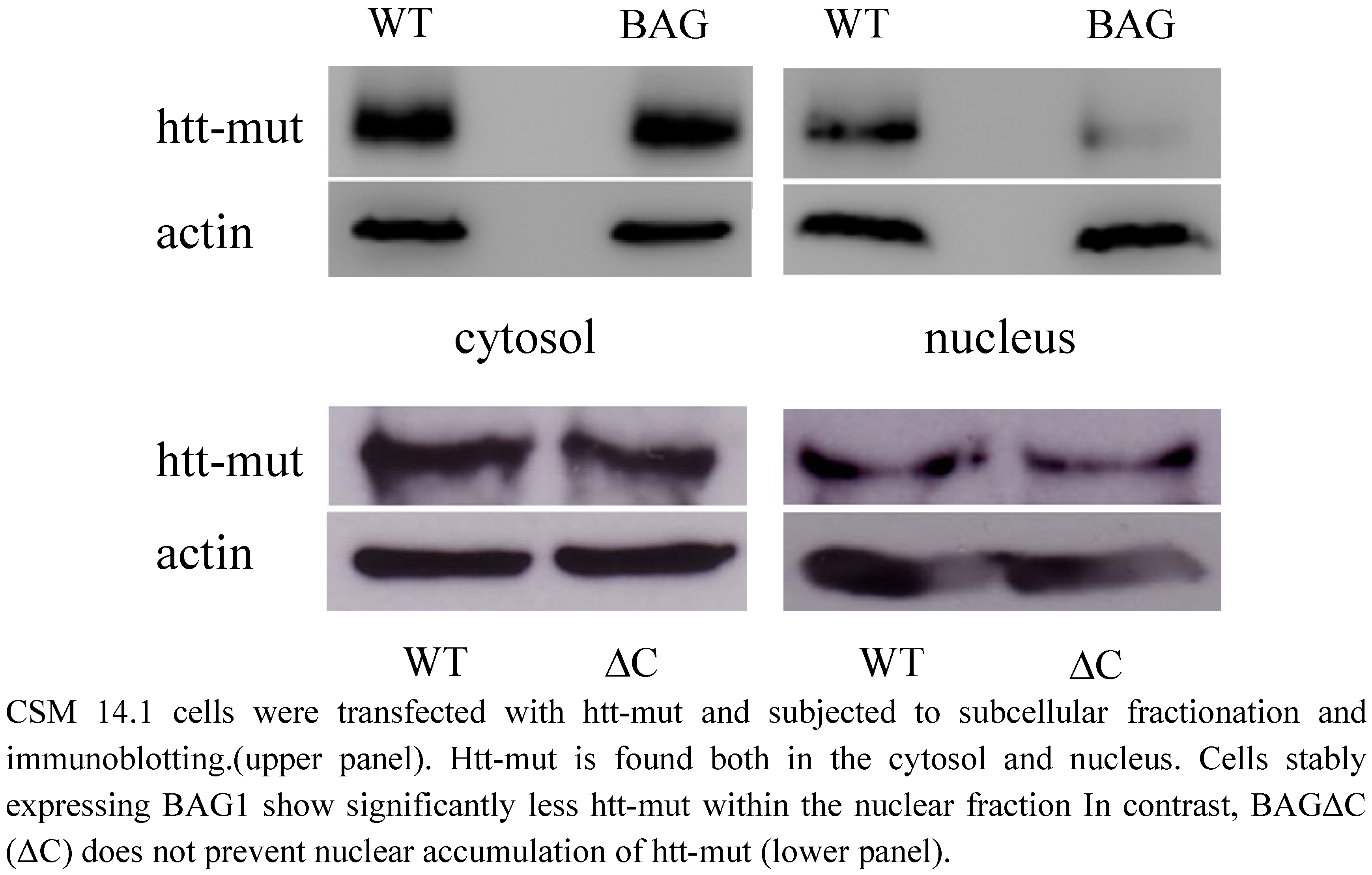 Molecules 15 06678 g004
