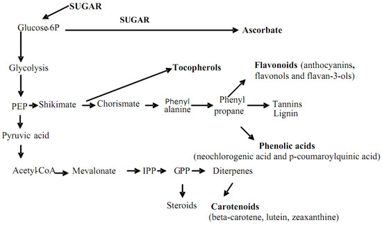 Molecules 15 06993 g001 550