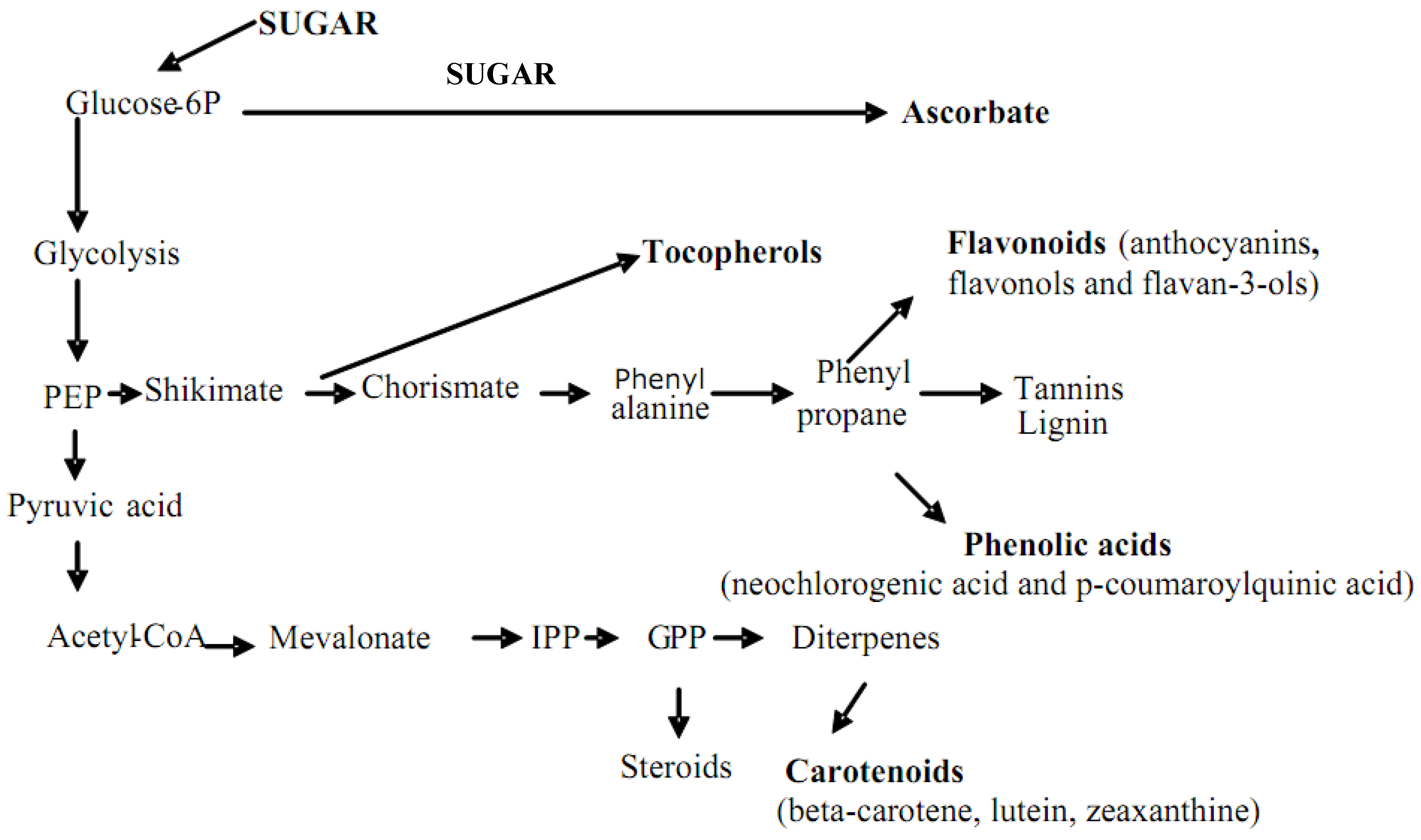 Molecules 15 06993 g001