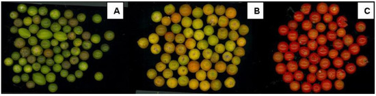 Molecules 15 07125 g001 550