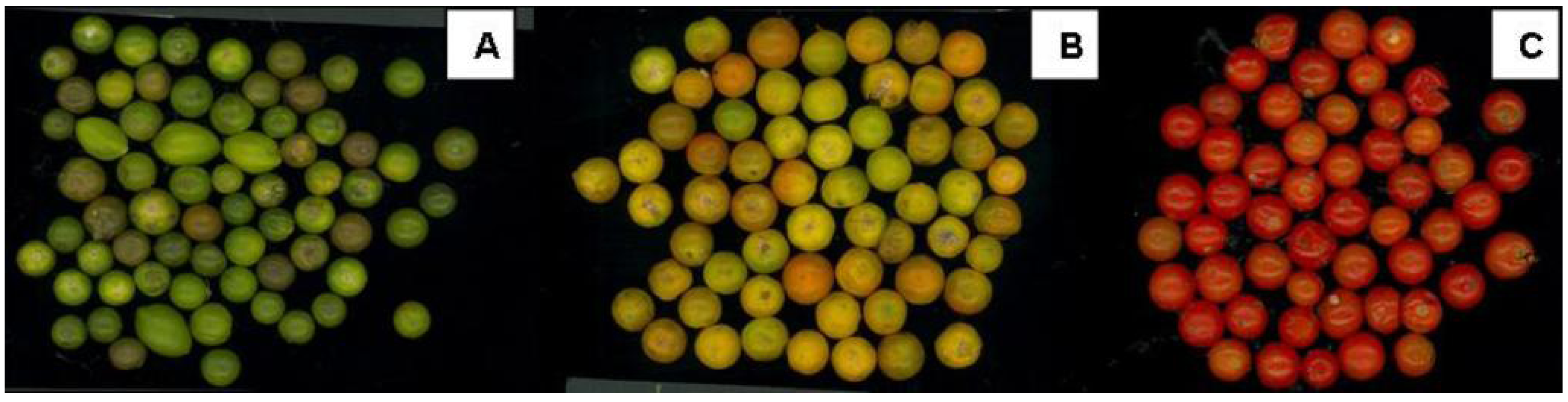 Molecules 15 07125 g001