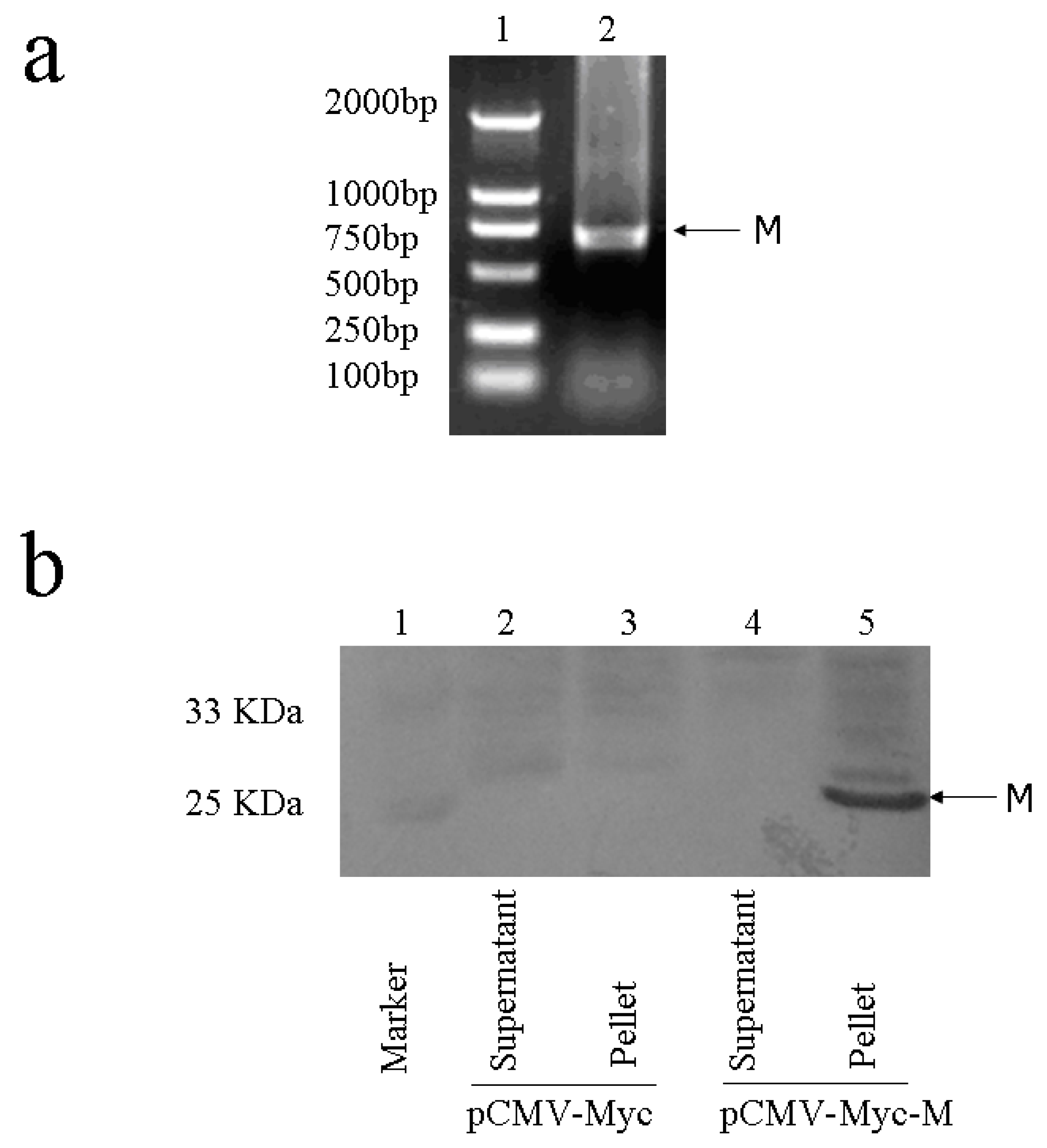 Molecules 15 07197 g002 Molecules 15 07197 g002