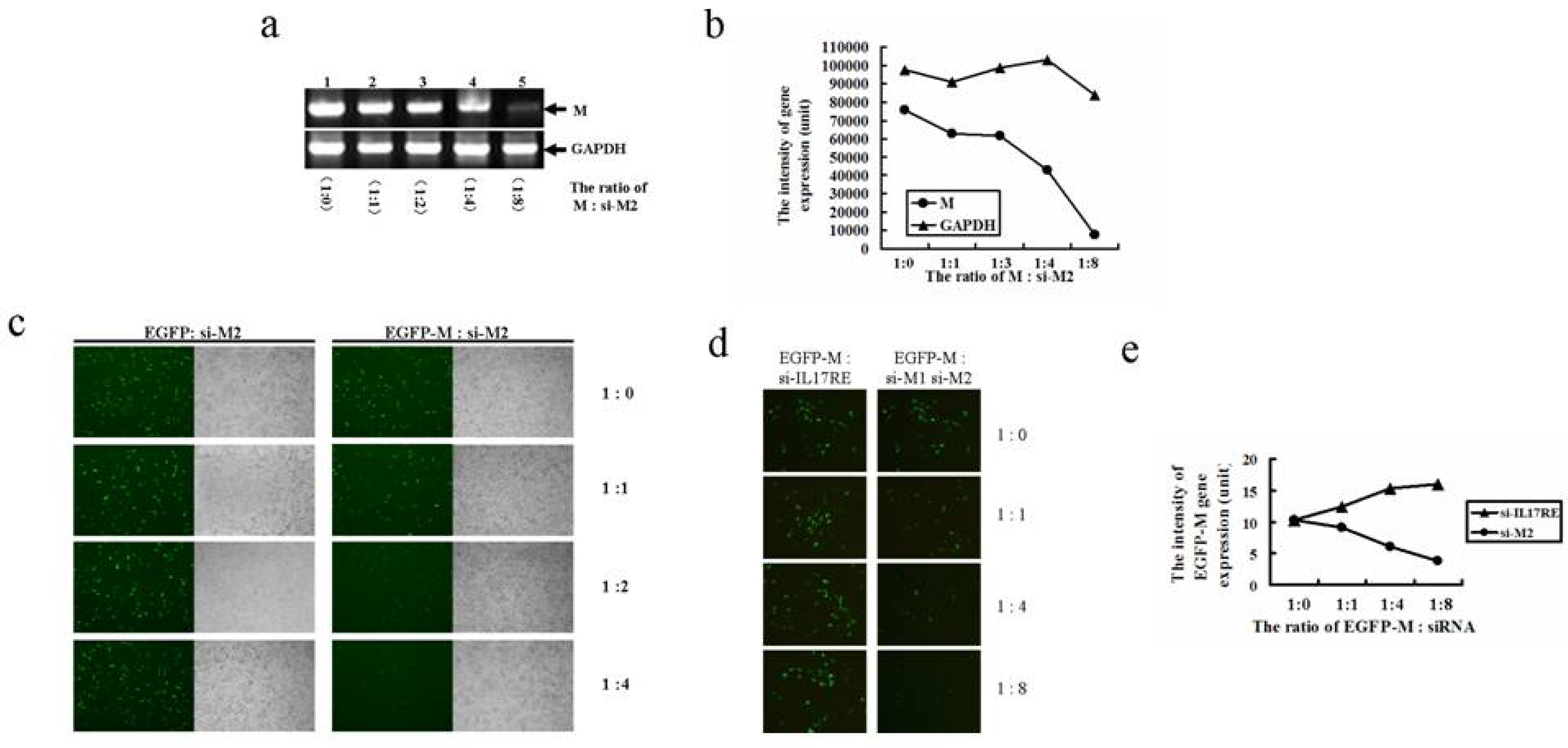 Molecules 15 07197 g004 Molecules 15 07197 g004
