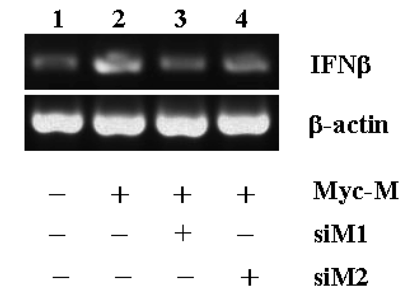 Molecules 15 07197 g006 Molecules 15 07197 g006
