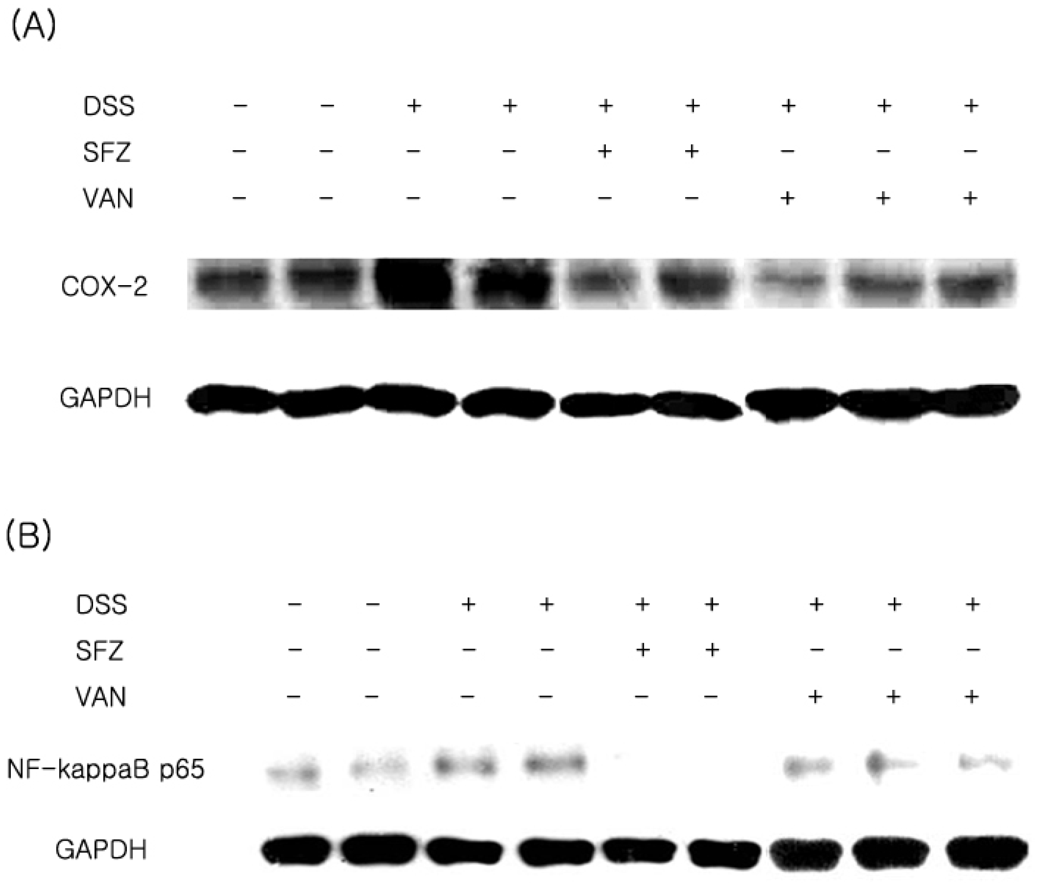 Molecules 15 07208 g003