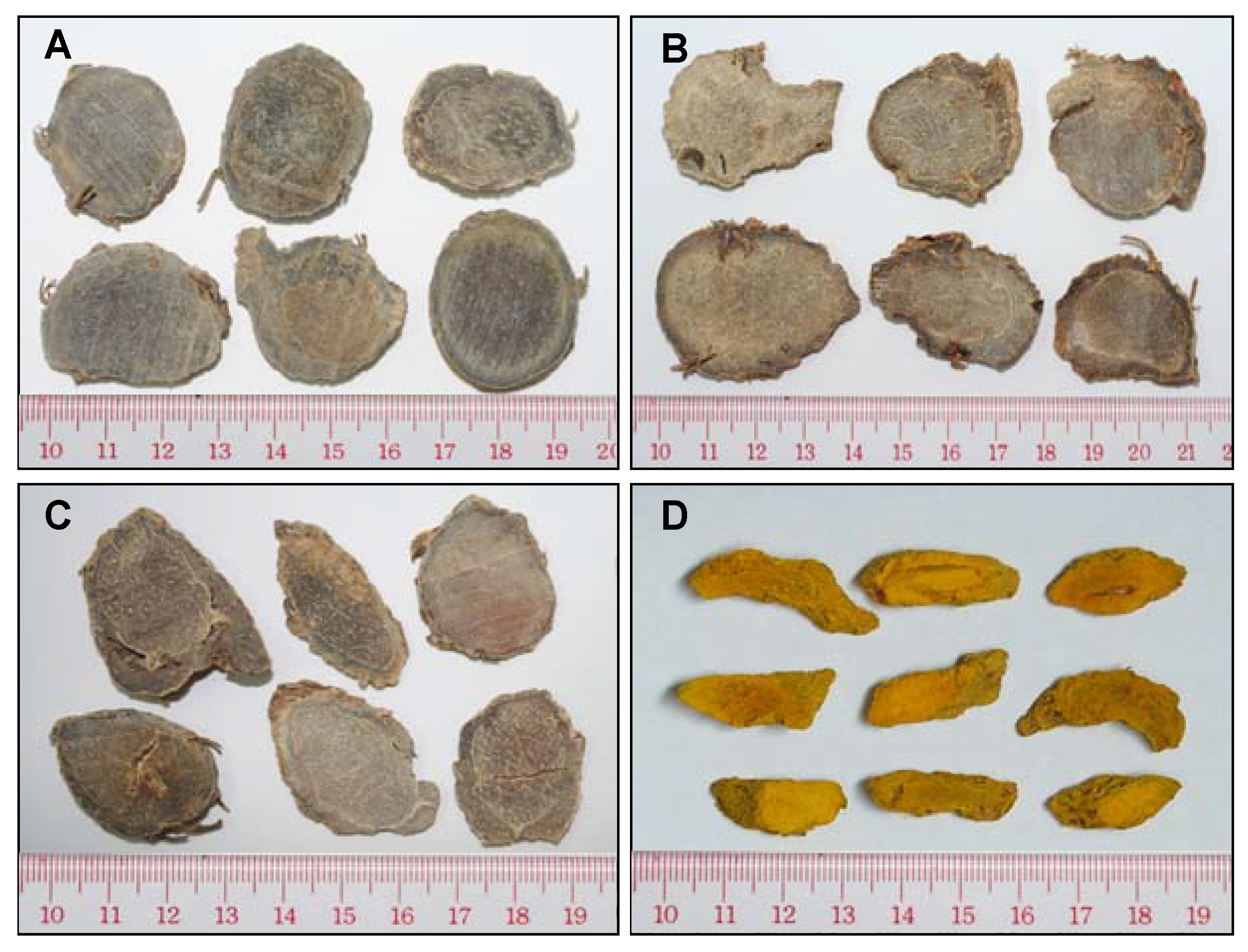 Molecules 15 07547 g003