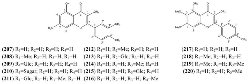 Molecules 15 07603 i012