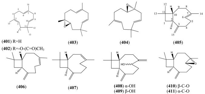 Molecules 15 07603 i031