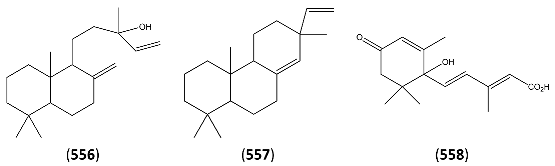 Molecules 15 07603 i044