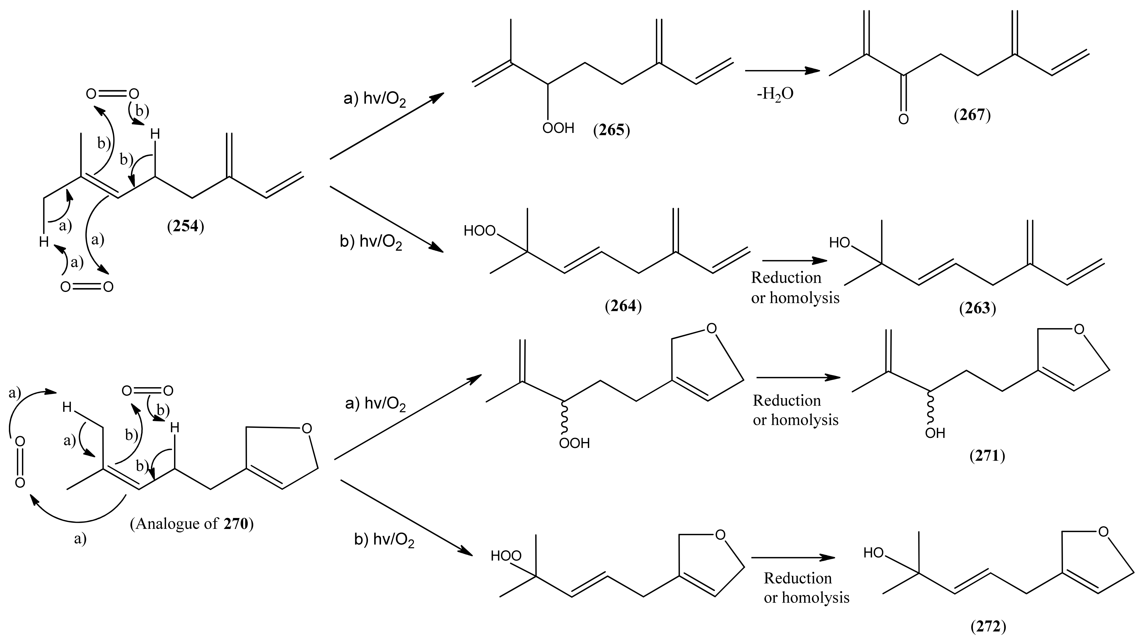 Molecules 15 07603 sch001
