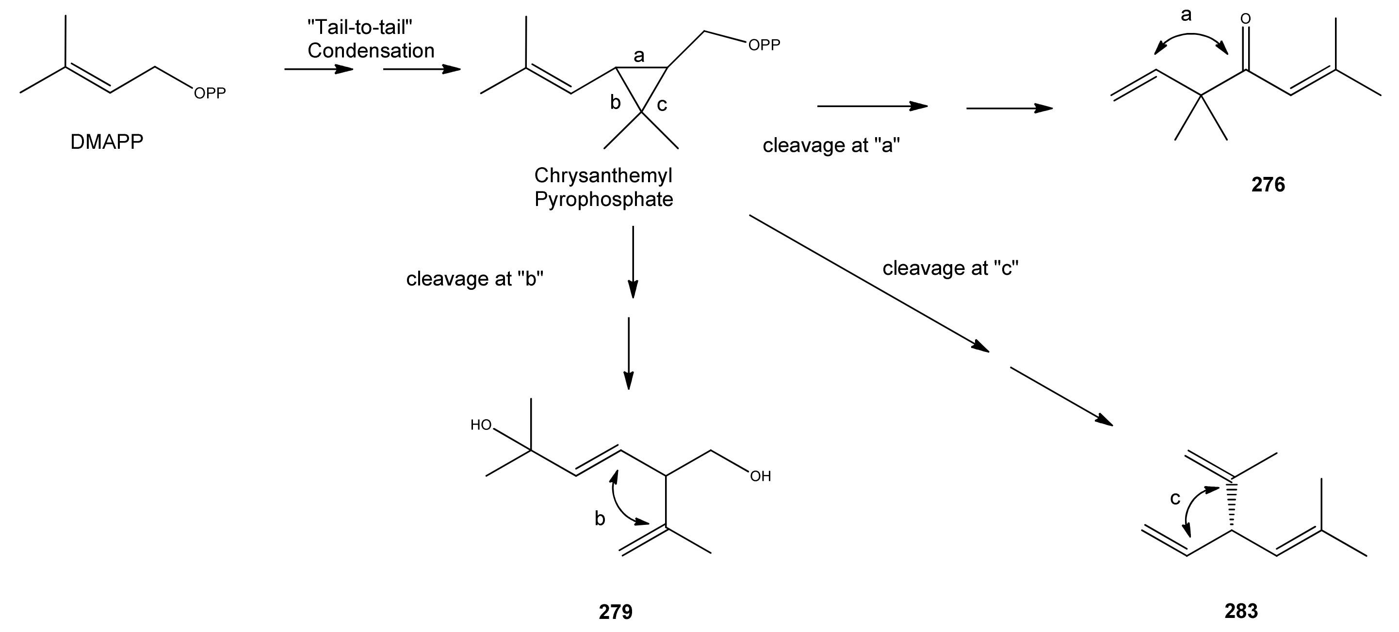 Molecules 15 07603 sch002