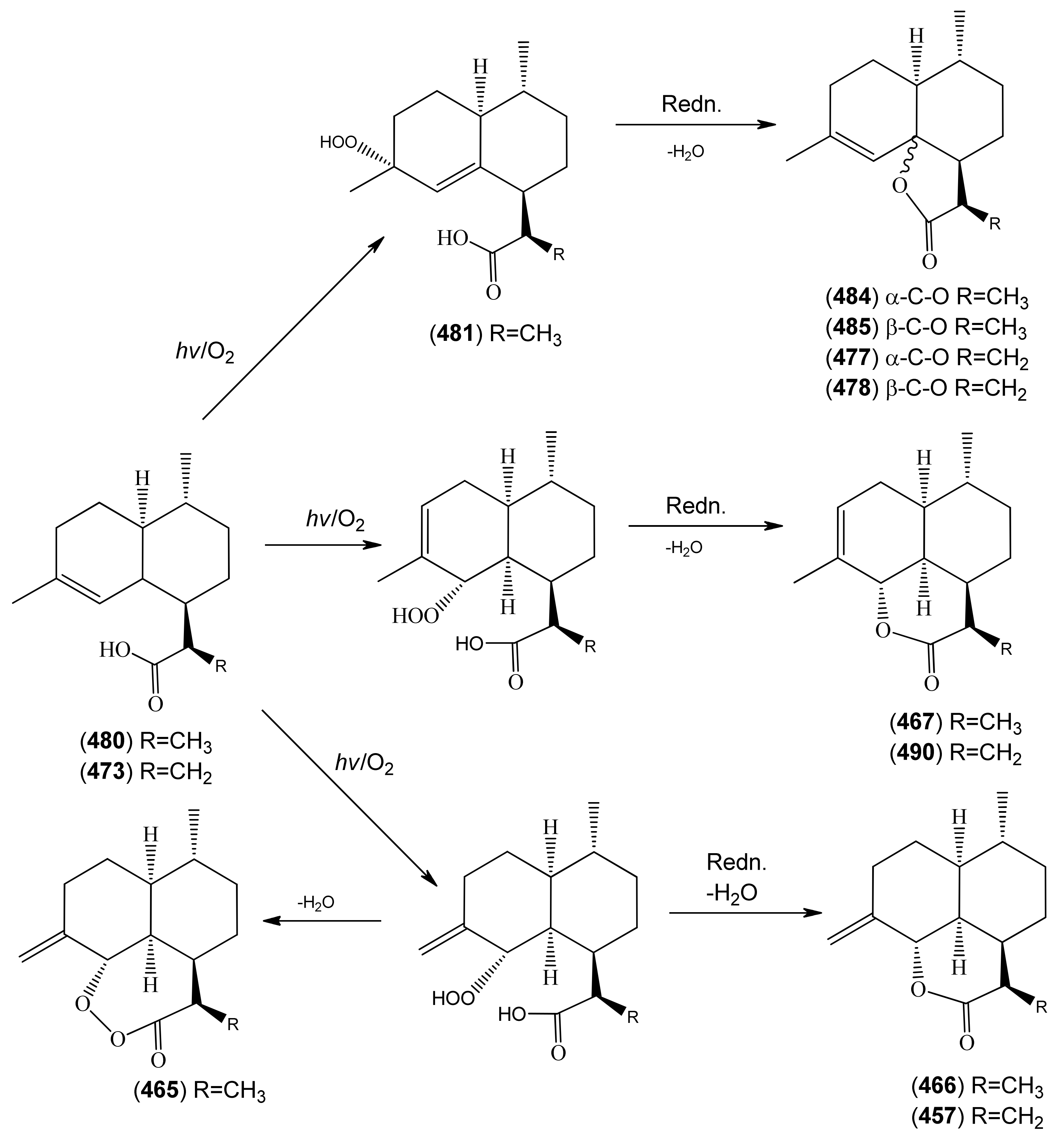 Molecules 15 07603 sch005