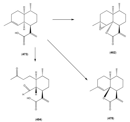 Molecules 15 07603 sch007 550