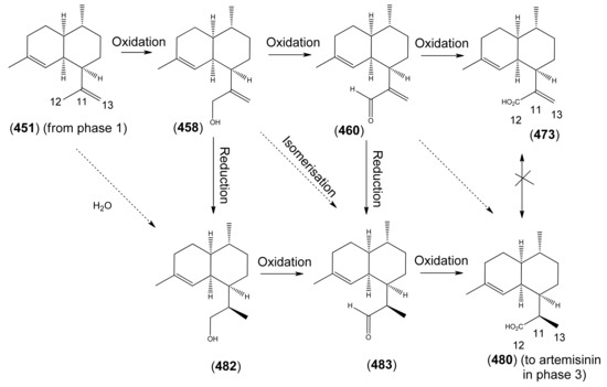Molecules 15 07603 sch011 550