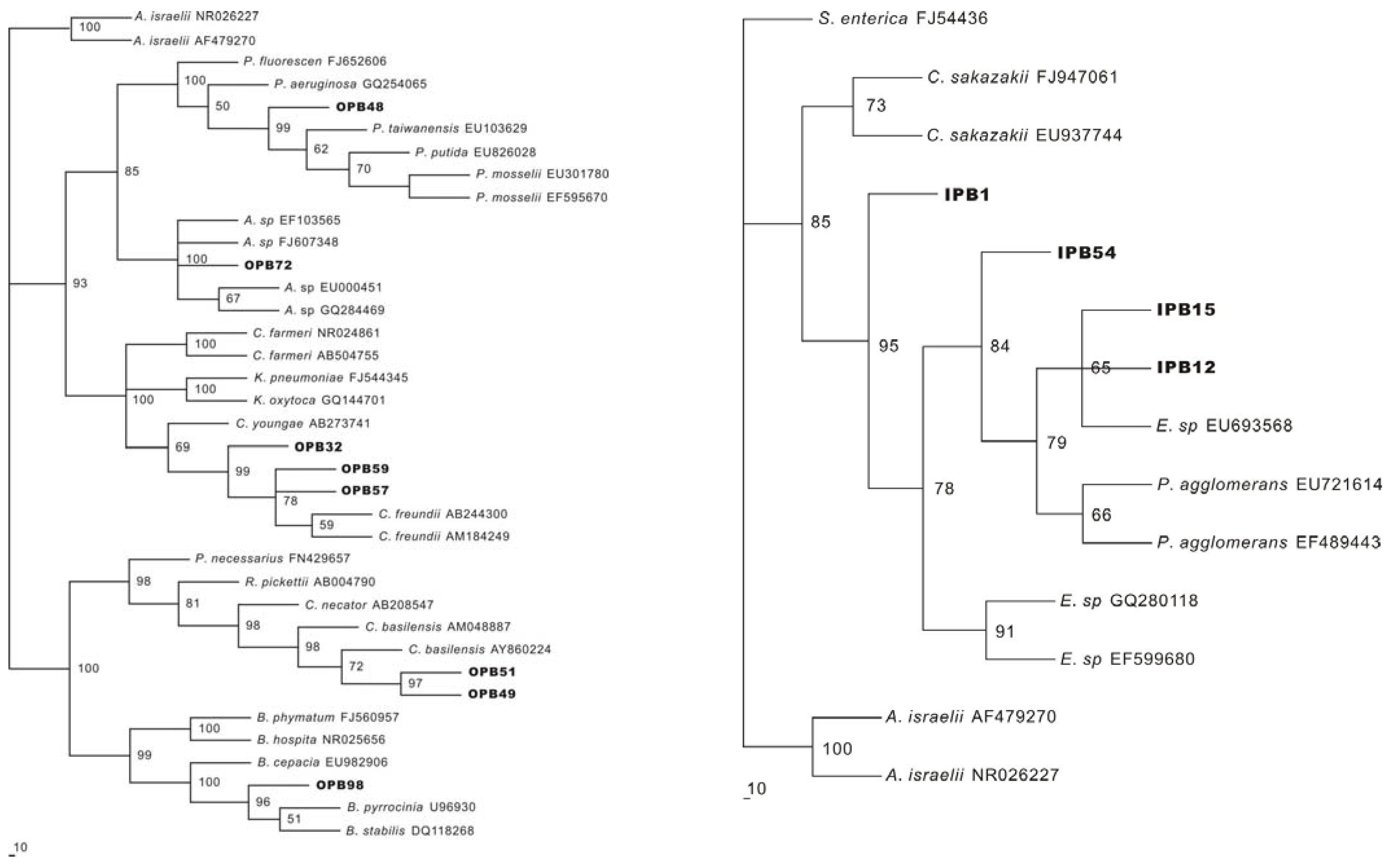 Molecules 15 08518 g002 Molecules 15 08518 g002