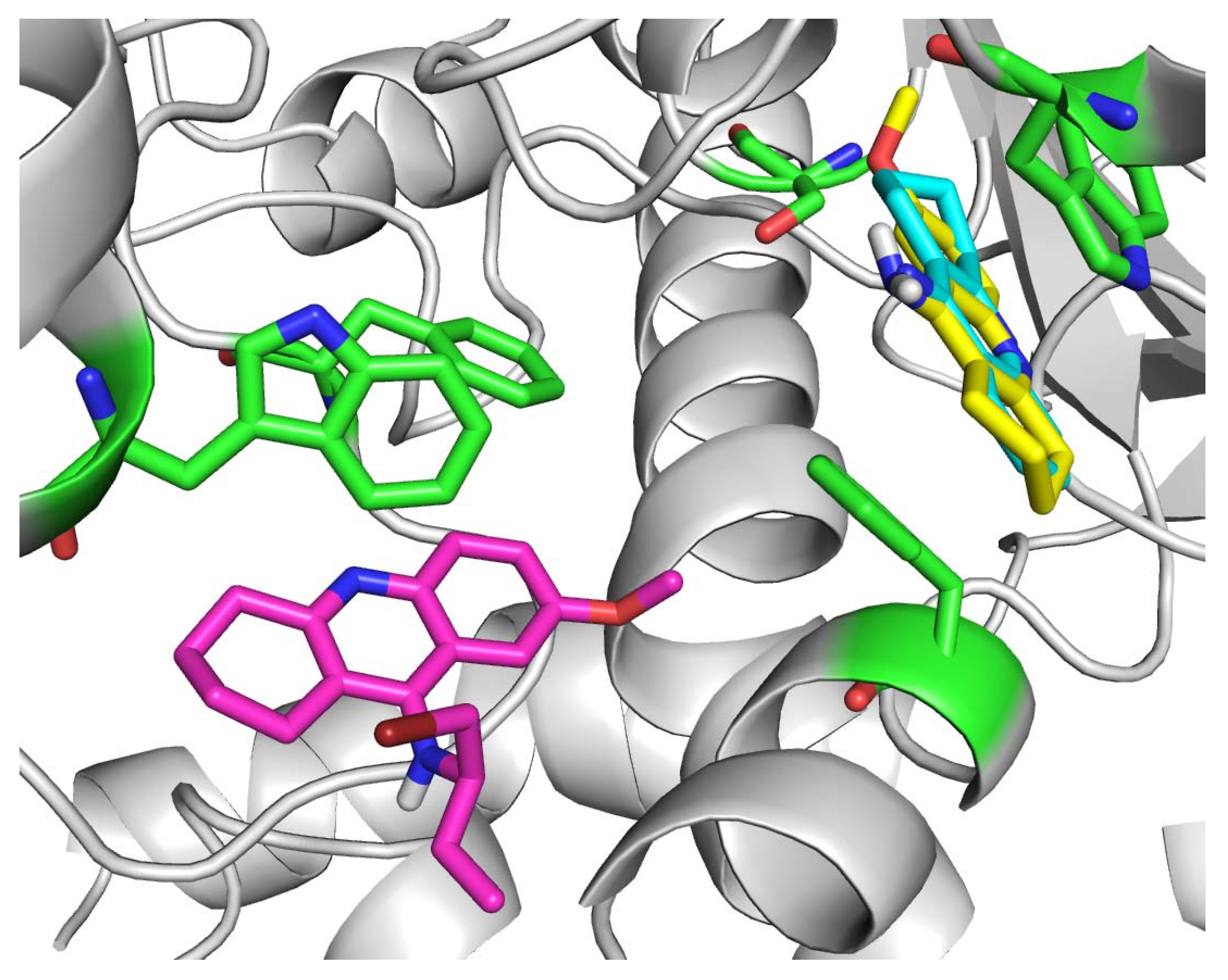Molecules 15 08804 g004