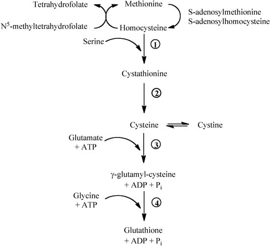 Molecules 15 08890 g001 550