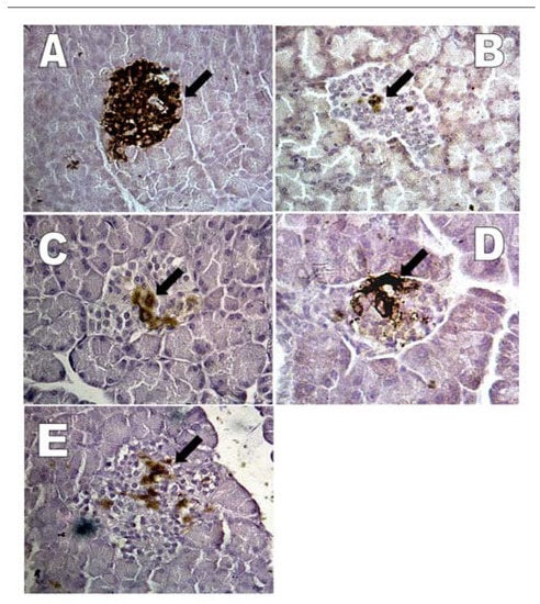 Molecules 15 09008 g005 550