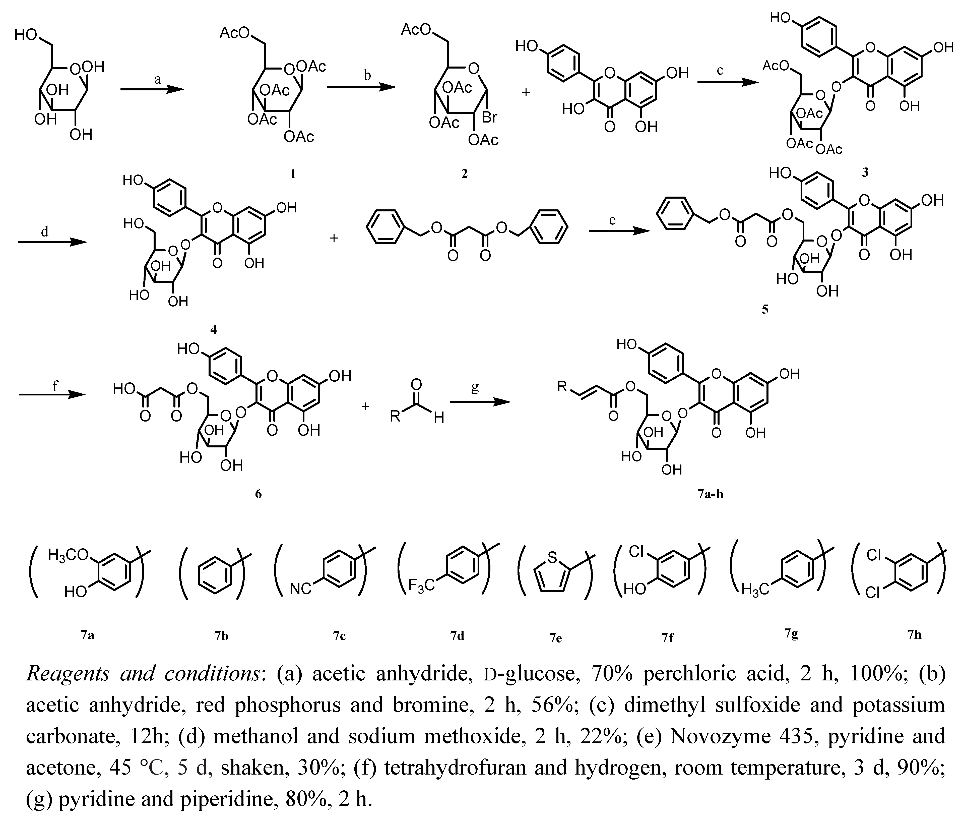 Molecules 15 09174 g002