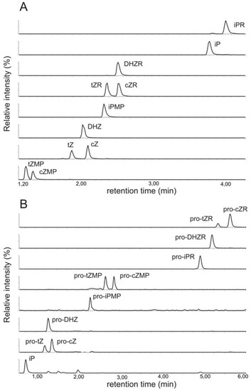 Molecules 15 09214 g001 550