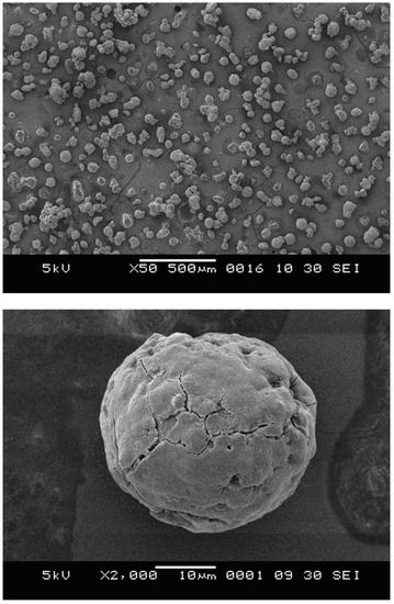 Molecules 15 09323 g001 550
