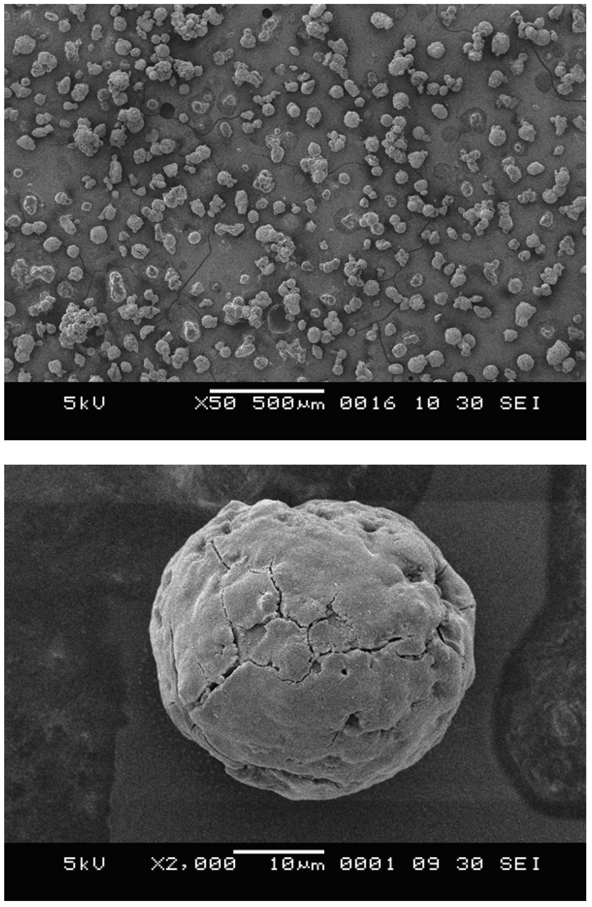 Molecules 15 09323 g001