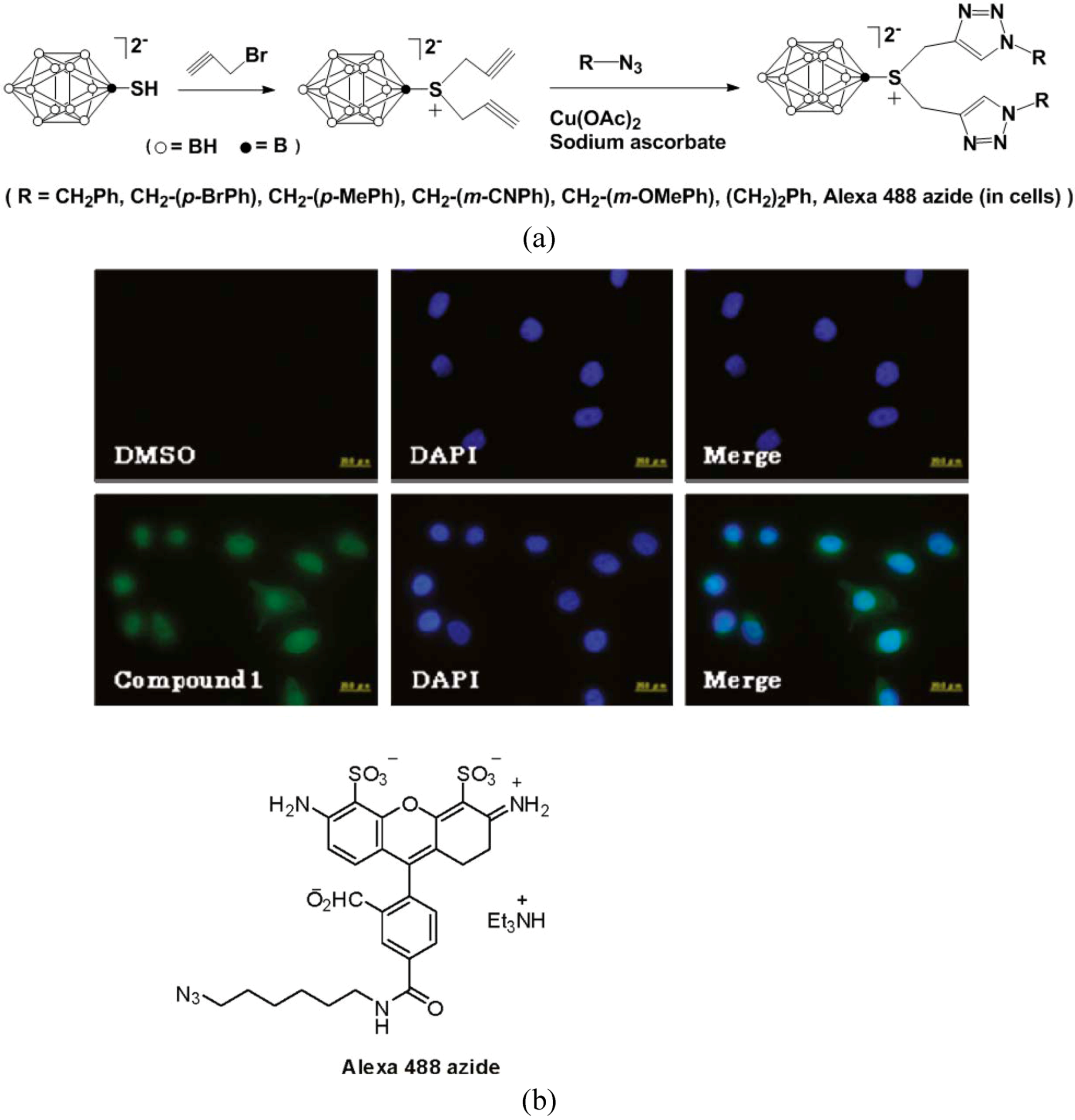 Molecules 15 09437 g005