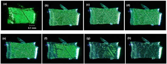 Molecules 16 00119 g009 550