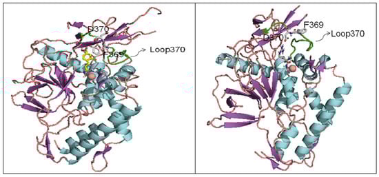 Molecules 16 00202 g007 550